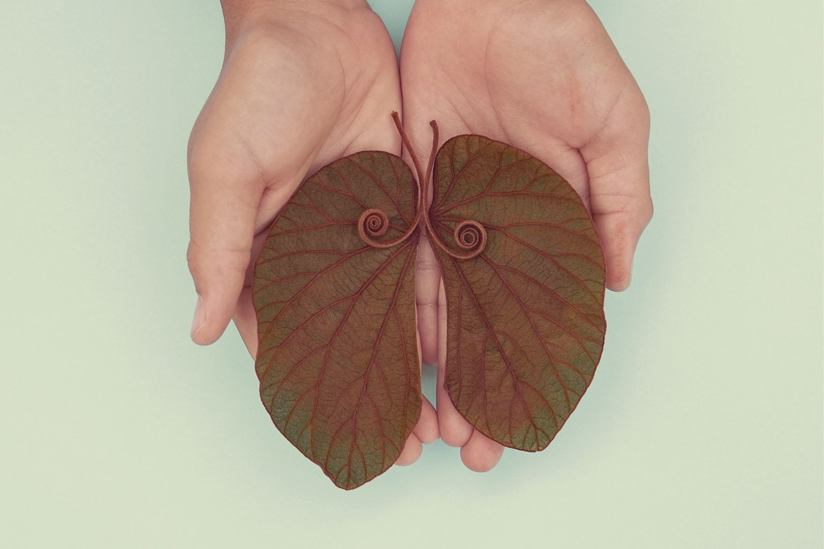 Pelajari Gejala Penyakit TBC dan Cara Pengobatannya