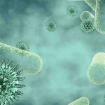 Jangan Keliru, Ini Perbedaan Virus dan Bakteri!