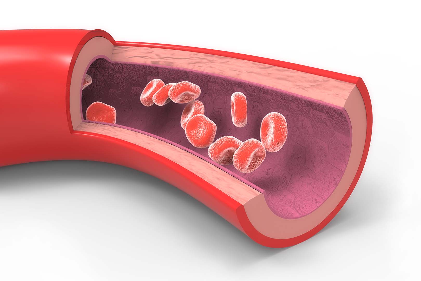 Fenofibrat Micronized