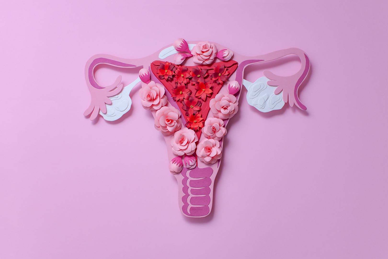 Medroxyprogesterone Acetate