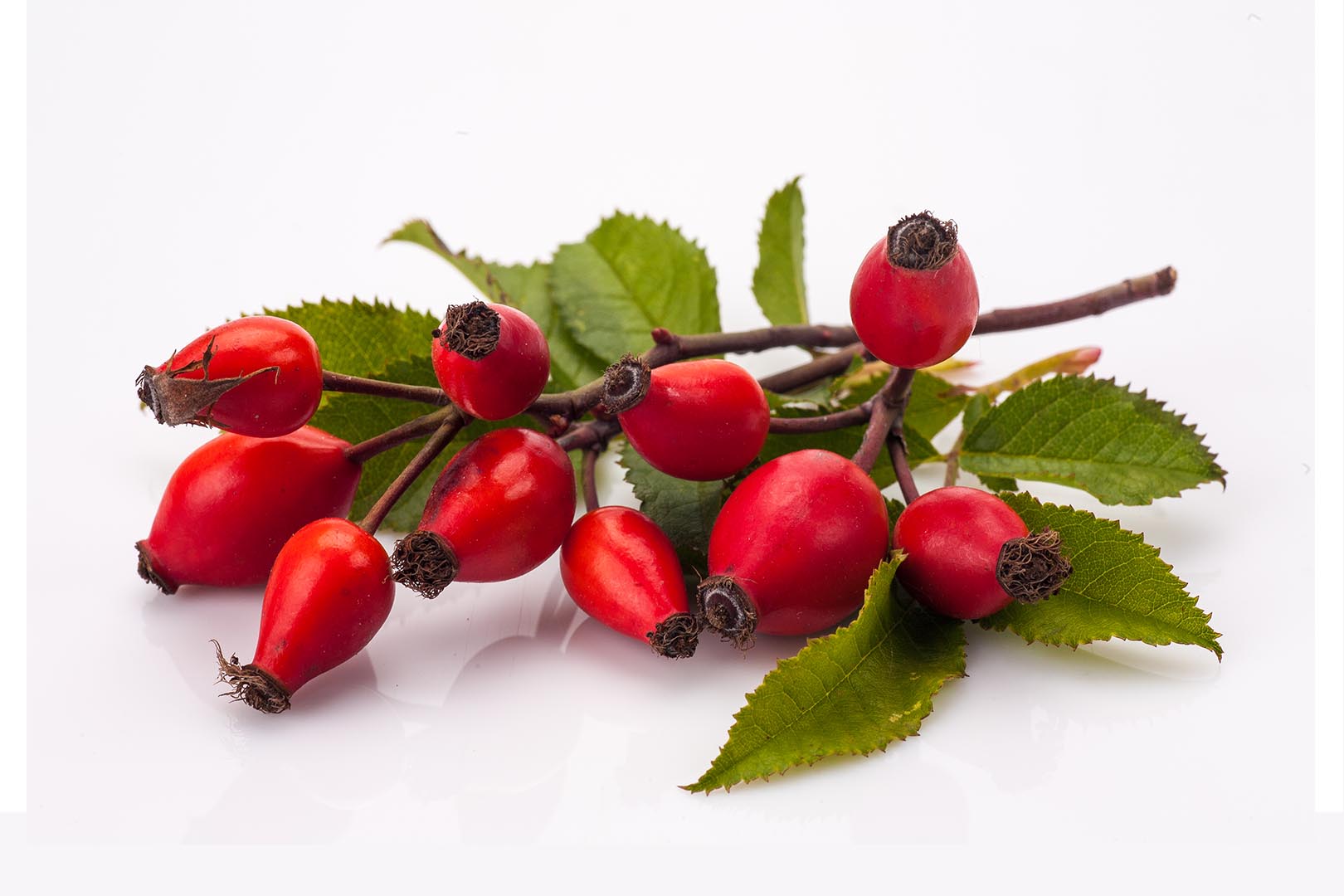 Ekstrak Rosehip