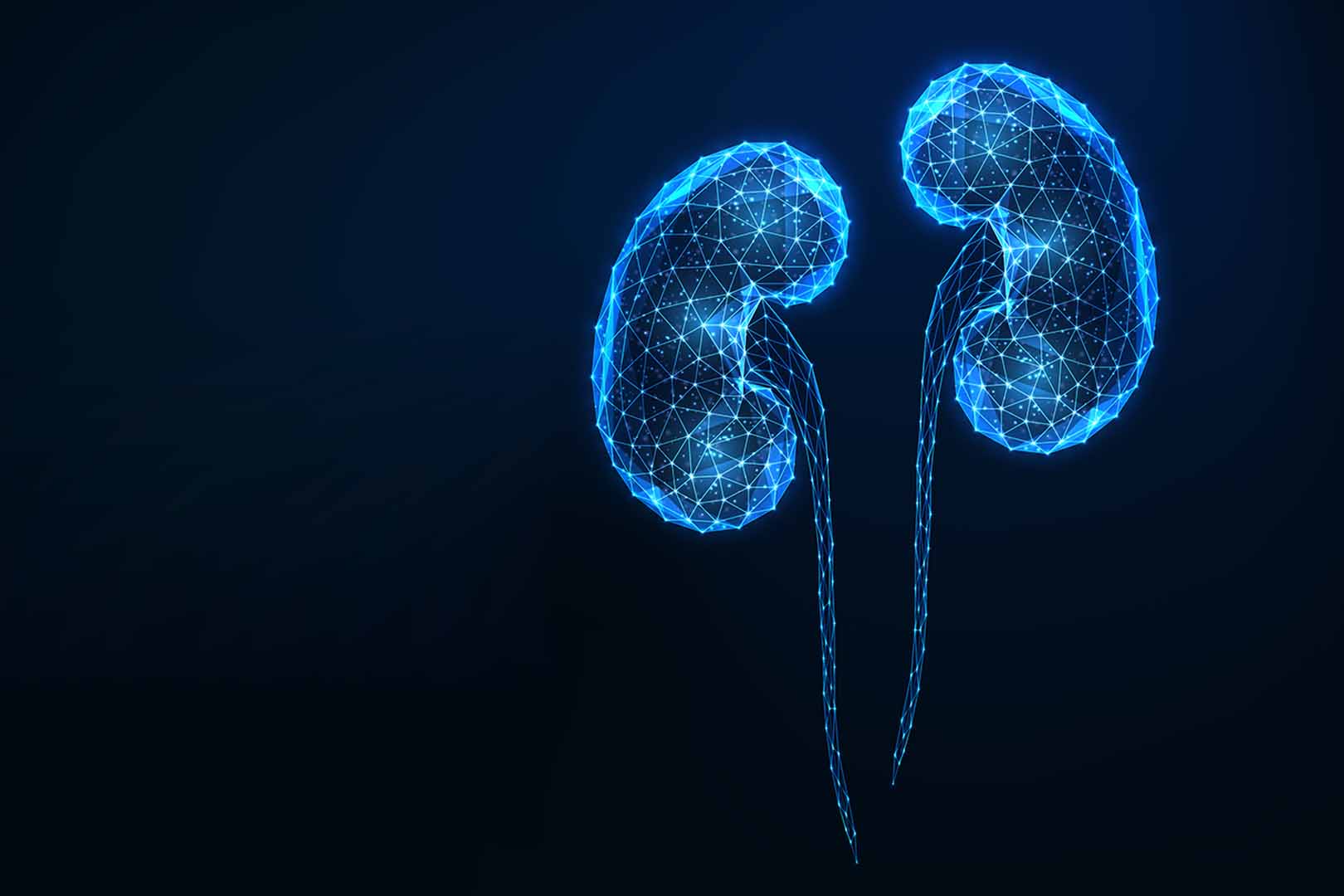 Asam 3-Metil-2-Oxovalerate