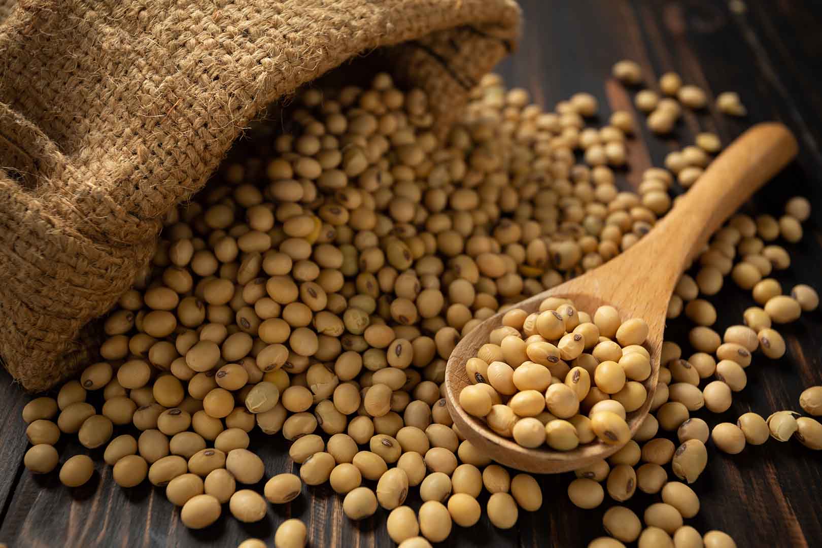 Pure Lecithin (PPC 95%)