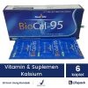 BioCal 95