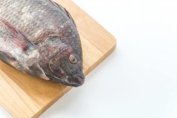 apakah ikan nila mengandung kolesterol