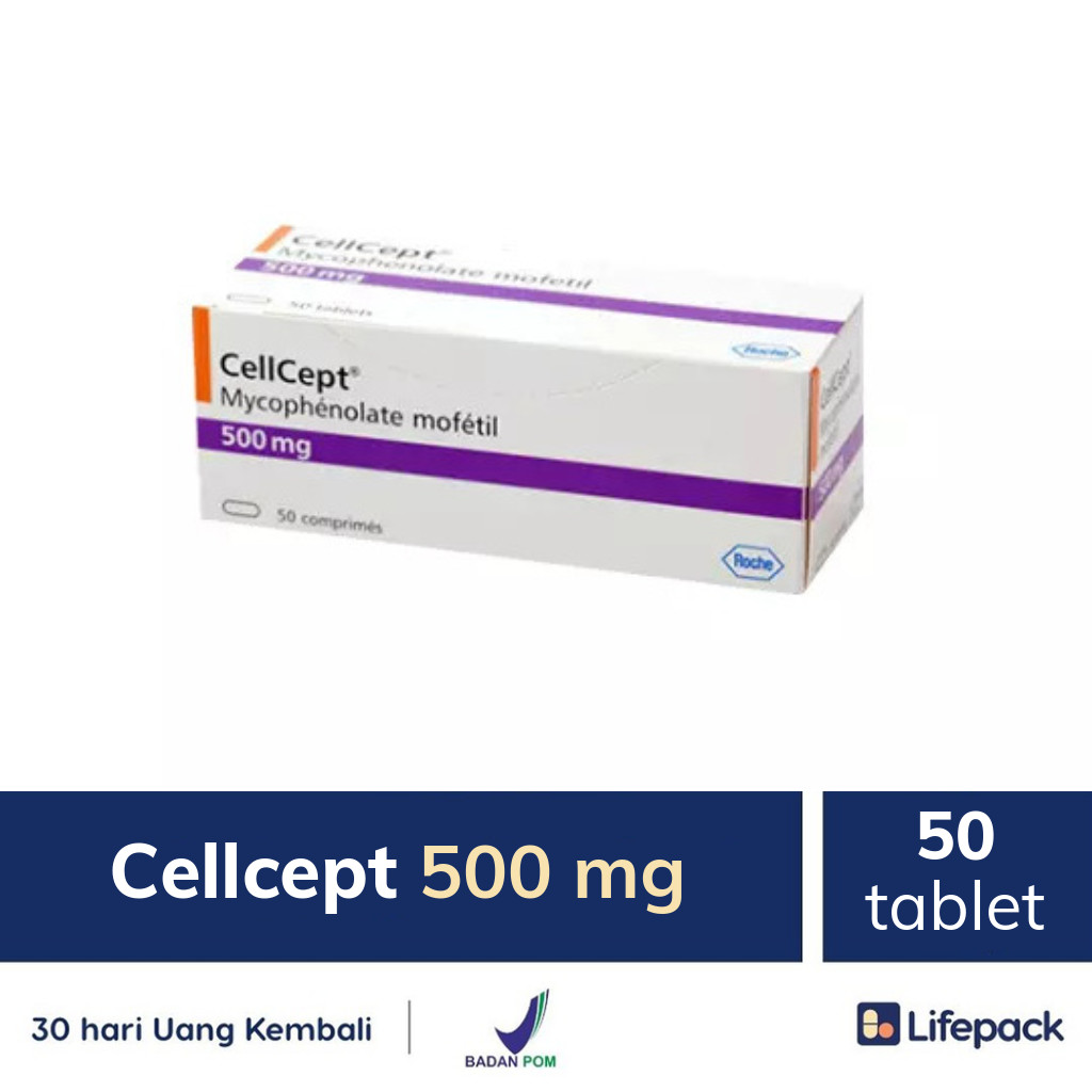 Cellcept 500 mg - Lifepack.id